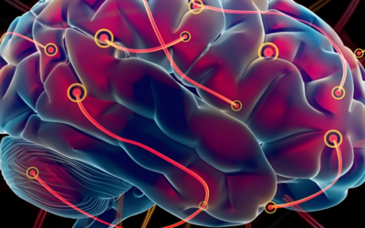 Neuroplasticity: Discover How Your Brain Can Heal Itself Through Science